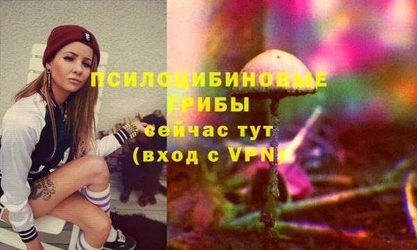 mdpv Алзамай
