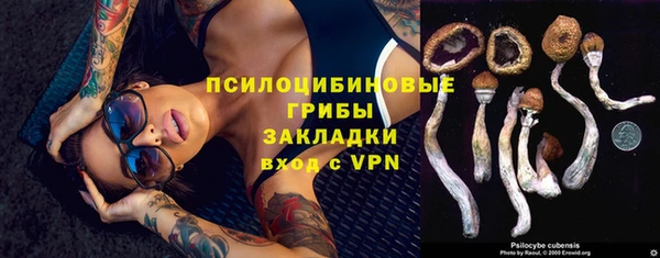 ешки Алексеевка