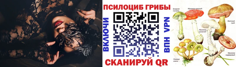 Псилоцибиновые грибы Psilocybe Трёхгорный